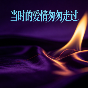 当时的爱情匆匆走过