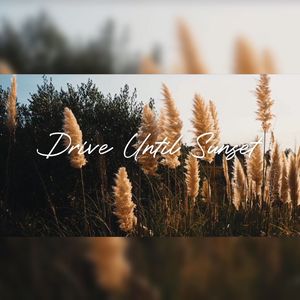 Drive Until Sunset