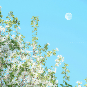 겨울밤에 듣기 좋은 노래