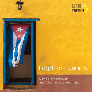 Lágrimas Negras (feat. Virginia Guantanamera)