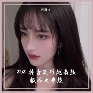 2021抖音流行越南鼓极品大串烧