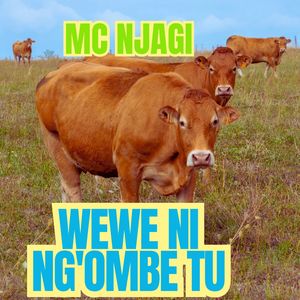 Wewe Ni Ng'ombe Tu