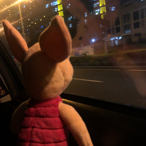 猫都瞧不起我（翻唱）