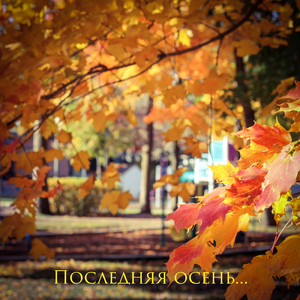 Последняя осень...