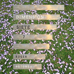 Dimensión 7