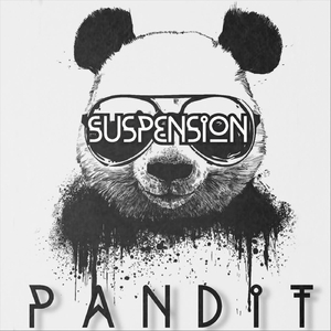 Suspension