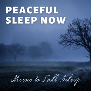 Reduce the Consequences of Insomnia