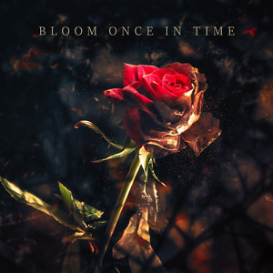 Bloom Once in Time