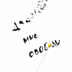 Перелетные птицы