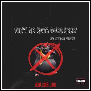 Ain't No Rats Over Here (Damn Shame Freestyle)
