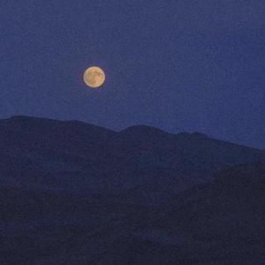 总在四下无人的夜晚想起你（翻自 无孟子）