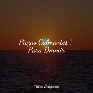 Jugar Con La Música