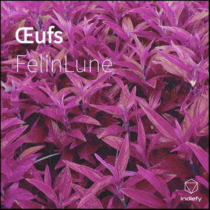 Œufs