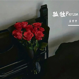 孤独Person(你对我的了解 无声的告别)