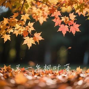 又一年枫叶落