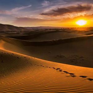 Omur Yoli (live) 现场版