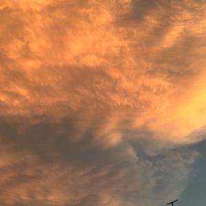 其实什么都没有