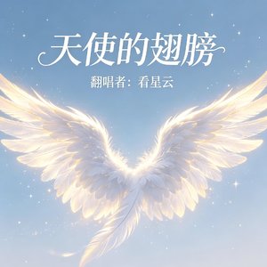 天使的翅膀（翻唱）