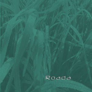 A la Muntanyeta (Jota)