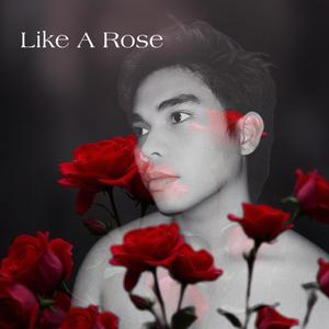 Like A Rose