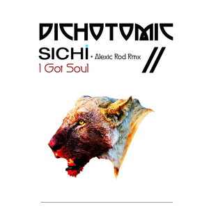 I Got Soul (Original Mix)