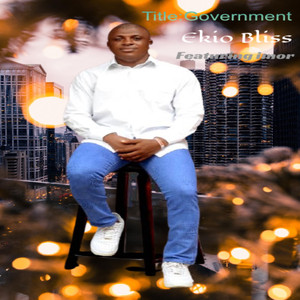 Government (Extended Version)