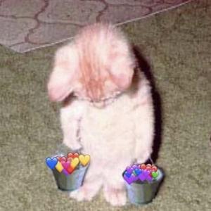 熬夜(pord by ZS Beatz)