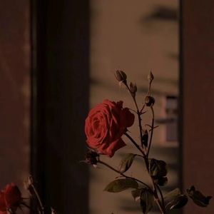 漫长的告白（翻唱）