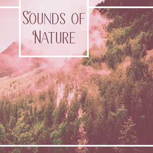 Crickets in the Grass