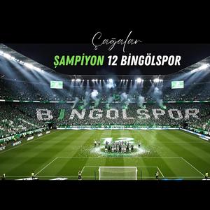 ŞAMPİYON 12 BİNGÖLSPOR