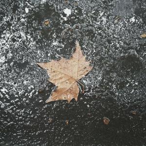 生老病死，众生皆苦