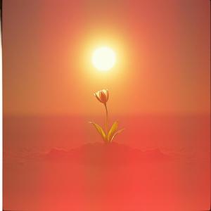 學會勇敢(Learn to Be Brave) by Jane Ford (Scientartist)