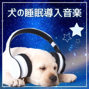 お昼寝の音楽