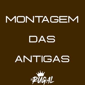 NOVINHA SAFADINHA x FAZ O MEU PAU DE TRAMPULIM