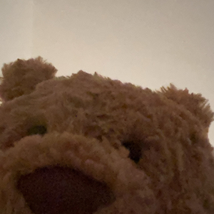 如果我有两颗心