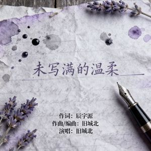 未写满的温柔（宝贝慢版） 伴奏