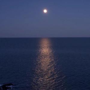 哪里都是你（合唱版）