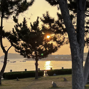 风中轻声的祈祷.mp3