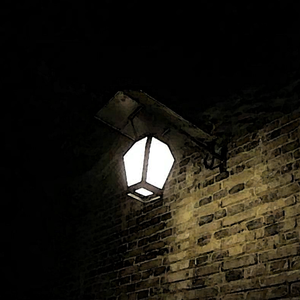 他来听我的演唱会