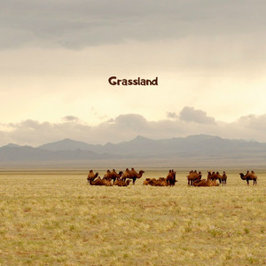 Grassland