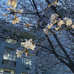 最痛的不是得不到 而是差一点就能拥有