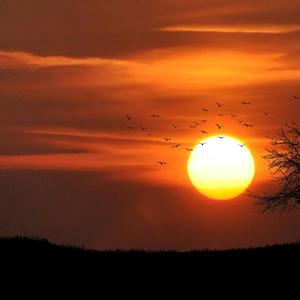 Sallanırken Düşünceler