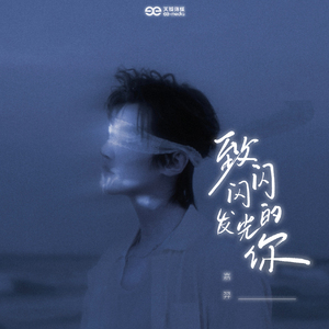 致闪闪发光的你