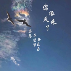 是你的绝情伤害了我 (纯音乐)