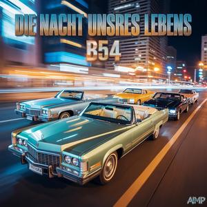 Das wird die Nacht unsres Lebens