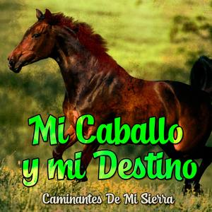 Mi Caballo Y Mi Destino