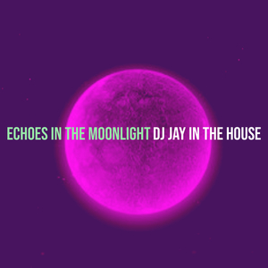 Echoes in the Moonlight