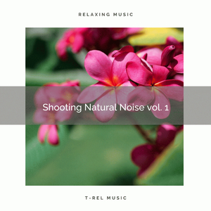 Feel Unique Sleep with Unique Nature Tunes for Sleep pt. 2