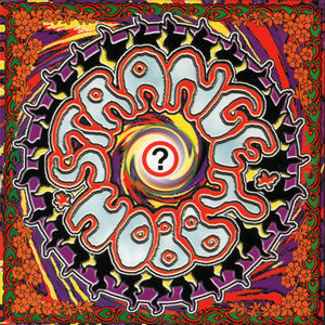 In The Room Of Percussion (further reflections) [with Peter Daltrey]