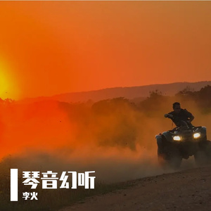 梦中飞翔